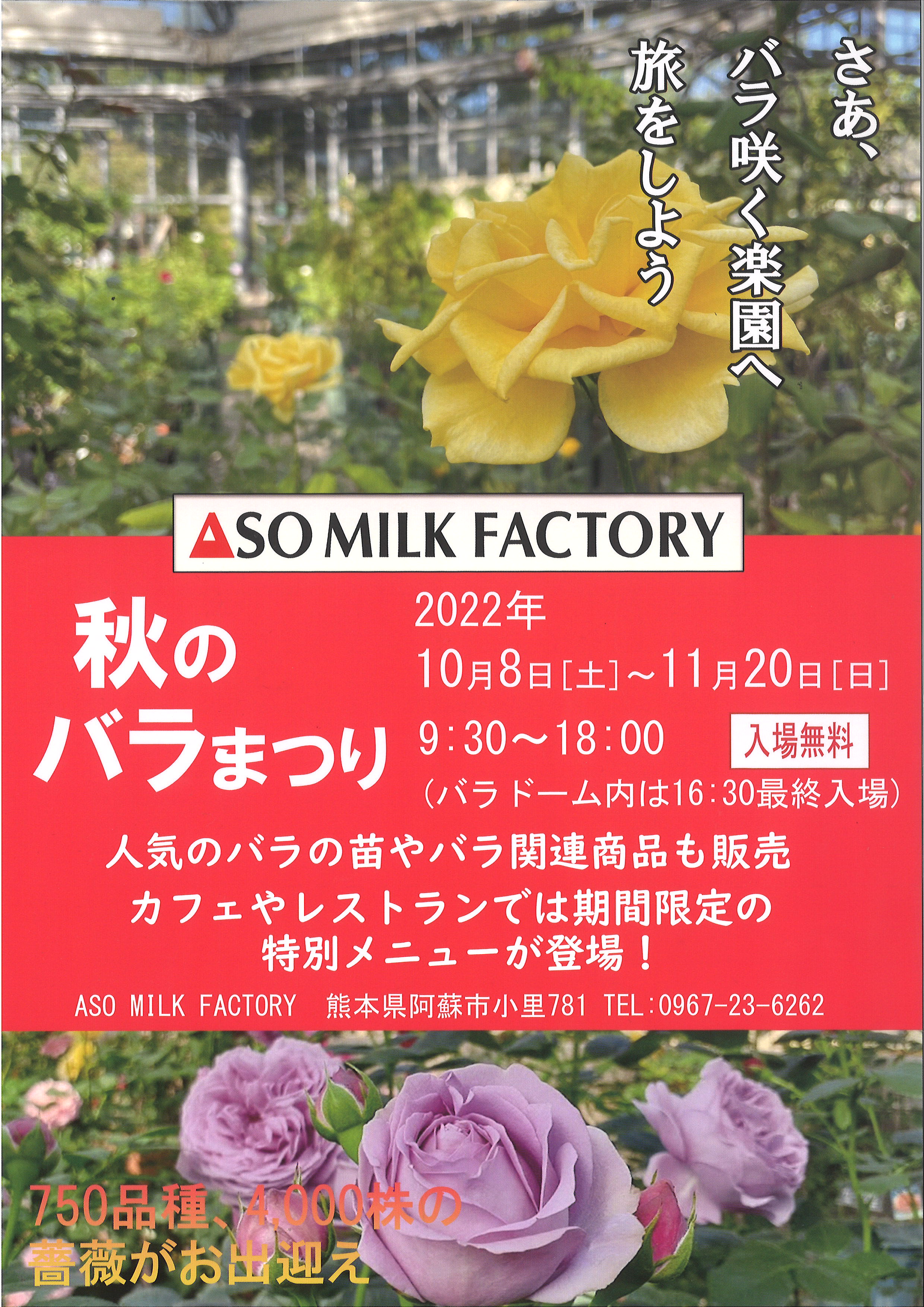 秋のバラまつり がaso Milk Factoryにて開催されます 道の駅 阿蘇